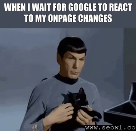 čekání na reakci googlu po onpage změnách